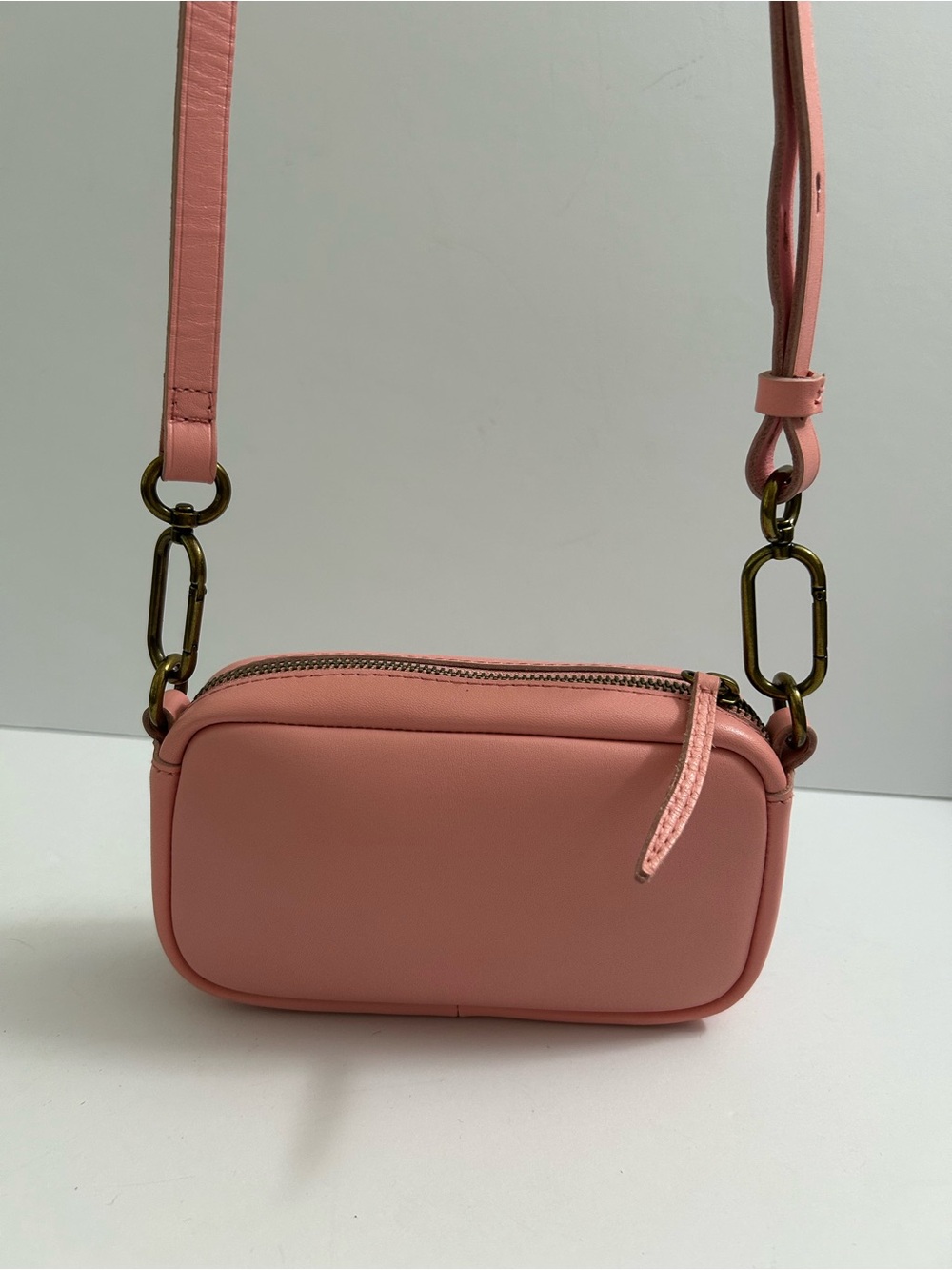 Madewell The Leather Carabiner Mini Crossbody Bag - Dried Blossom (color)